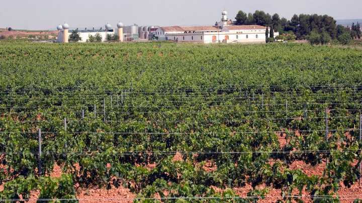 Las ventas valencianas de vino a EE.UU, paralizadas por la incertidumbre arancelaria