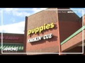 Charlotte pet store shut down after death of 11 puppies, sale of sick dogs