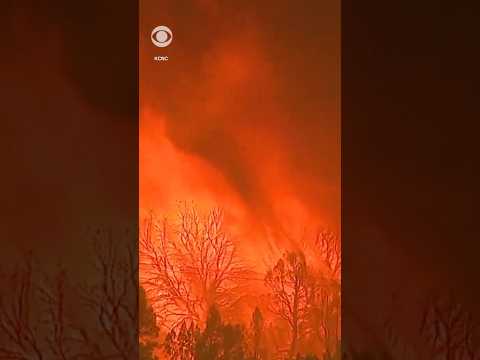 Satellite footage shows progression of Lee Fire in Colorado #shorts