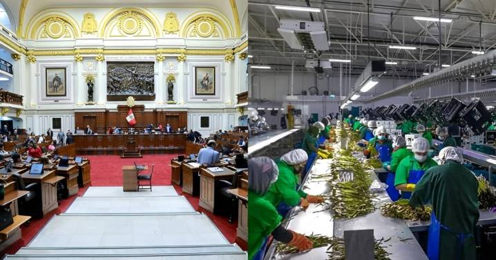 Congreso aprueba ley chlimper 2.0 que reduce impuestos a agroexportadoras por 10 años y genera un forado de S/20.000 millones