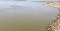 Harmful algal bloom closes Elk Grove Pond near Four Corners
