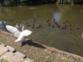 Aflac: Best-In-Class Life Insurer Poised To Benefit From A Steepening Yield Curve