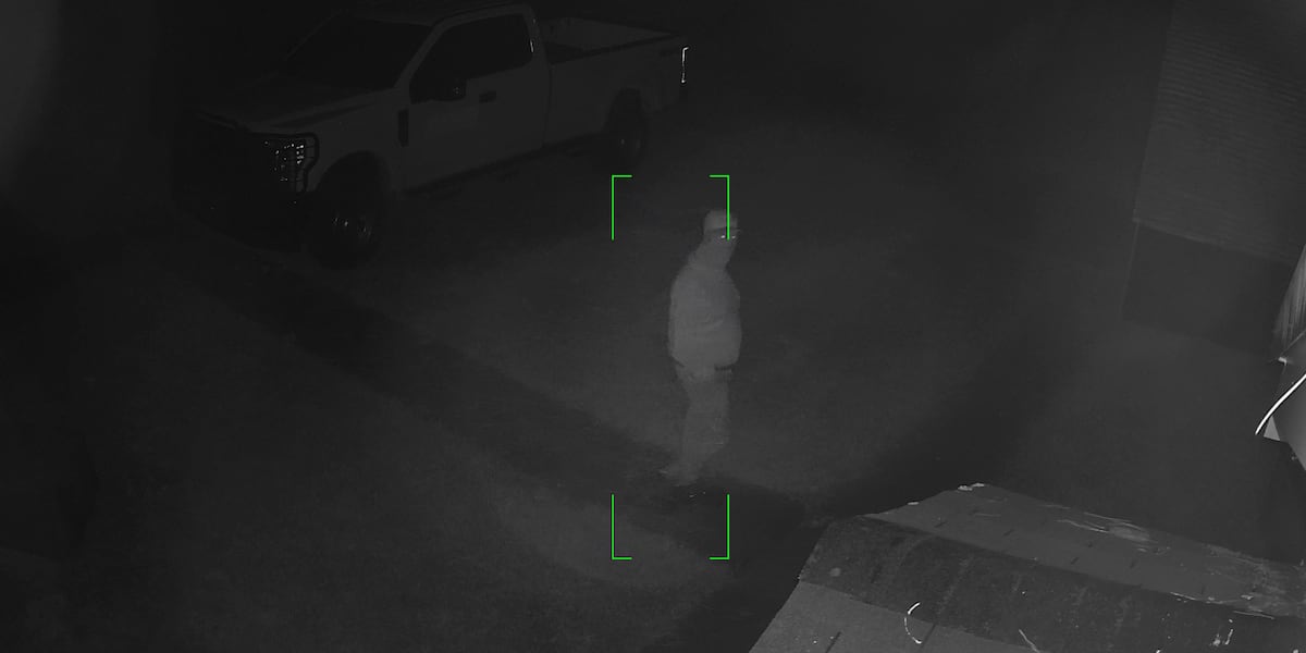 Investigation underway after burglary at TN forestry office