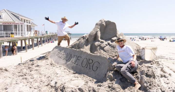 Ventnor sand sculpture advocates for elephant retirement