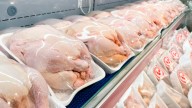 No habrá exportaciones de productos avícolas