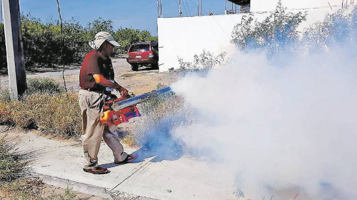 Arman frente contra dengue en estas colonias de Nuevo Laredo