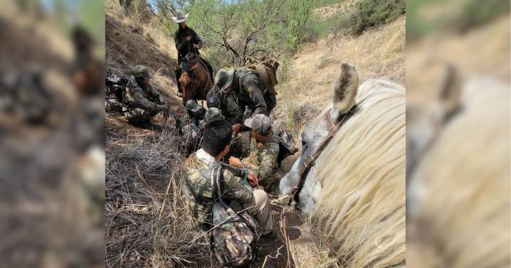 Detienen en Arizona a cinco migrantes mexicanos con antecedentes penales