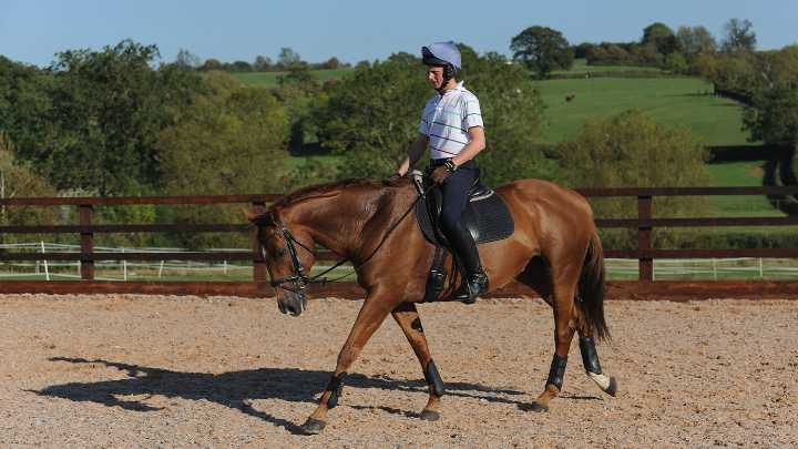 Best long riding boots for men: competition and everyday