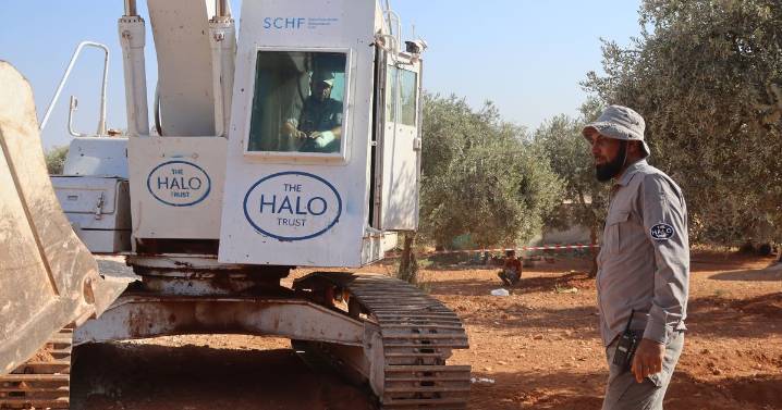 Dumfries and Galloway landmine clearing charity to help protect frankincense trees in Somalia