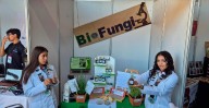 Alumnas del Cecytem compiten en concurso internacional de ciencia