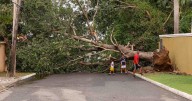 Jamaica to use drones donated by Canada to boost disaster response