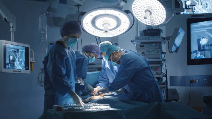 Primer trasplante de pulmón de cerdo a humano: «En el futuro podría convertirse en una opción real para salvar vidas»