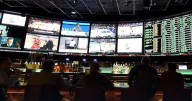 NCAA and Venmo partner in an effort to curb harassment of student athletes when it comes to sports betting