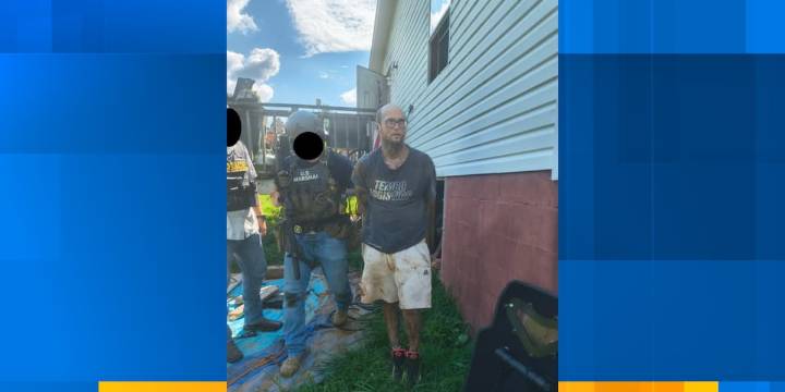 Fugitive found hiding under home in Sweetwater, sheriff says