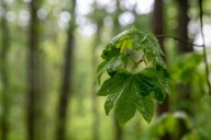 Mass. weather: Scattered showers, cool temps to sweep the state