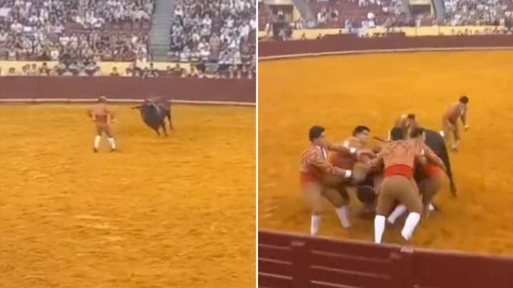 Portugal: un toro de 700 kg mató a un torero de 22 años