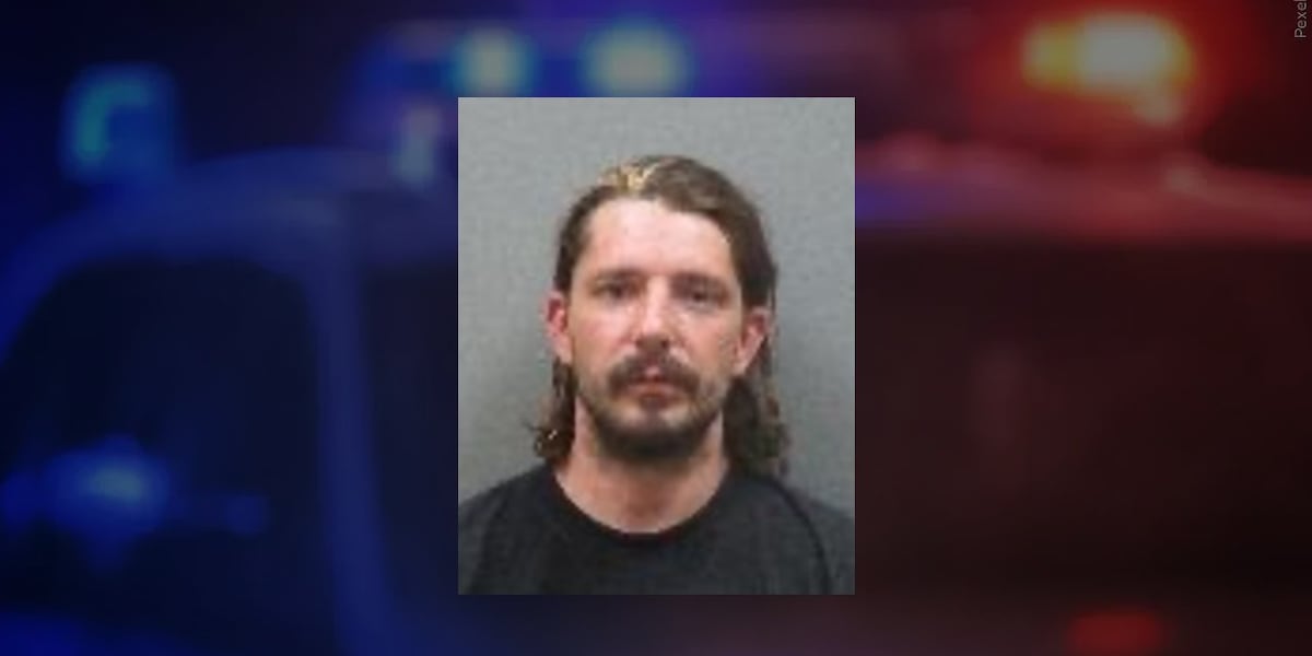 North Platte man that led police on brief search arraigned in court