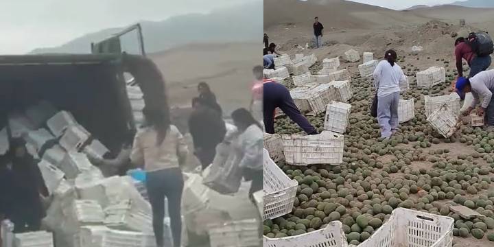 Camión de palta se vuelca en Panamericana Sur, vecinos recogen la carga y redes explotan: “Paltean”