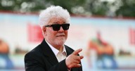 Pedro Almodóvar insta al gobierno de España a romper relaciones con Israel