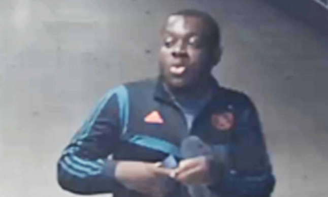 Manhunt after woman is sexually assaulted at London Underground station