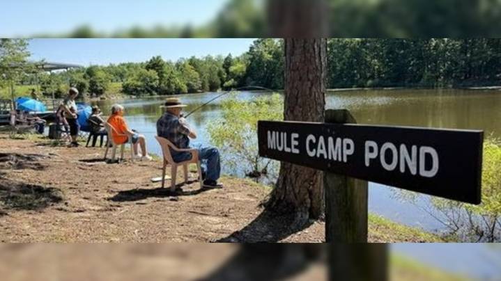 Families invited to MDC fishing event in Shannon County
