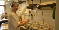 Científicos de Granada desarrollan un tratamiento de purines de cerdo que reduce la contaminación