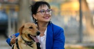 Diputada Marzán insiste en urgencia de crear Registro Nacional de condenados por maltrato animal tras brutales casos en 3 regiones