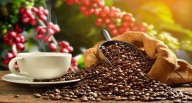 Estudiantes italianos llegarán al Perú para conocer su gastronomía y cultura | Valentini Caffè Pizza 