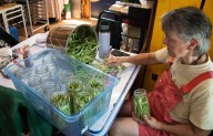 For Maine farmers, CSAs bring more certainty to an unforgiving industry
