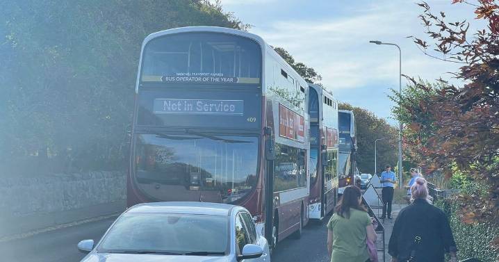 Edinburgh driver gets car 'stuck in ditch' triggering delays and bus diversions