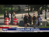 2 men randomly attacked in Central Park by same suspect: police