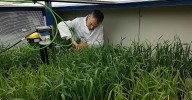 Los centros del CSIC captan 4,6 millones para investigar cultivos más productivos, terapias frente al cáncer o control de contaminantes emergentes