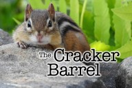 The Cracker Barrel: Chipmunk dreams