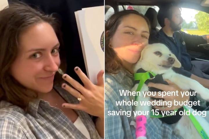 Bride and Groom Spend 'Whole Wedding Budget' to Save Senior Dog (Exclusive)