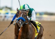 Sammy Davis uses fancy hoofing to win $100K Graduation Stakes at Del Mar