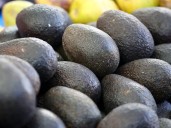 Alerta por la palta peruana: Minsal aumenta control por riesgo de cadmio