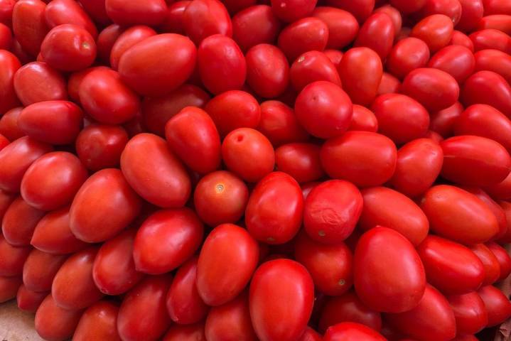 Gobierno de México fija precios mínimos de exportación de jitomate