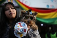 'Patitas del Bicentenario', un festejo adelantado por el Día del Perro en Bolivia