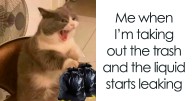 80 Funny And Cute Animal Memes That Might Give You A Reason To Smile Today (New Pics)