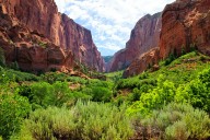 "It Was Criminal": Visitors Flock Into Popular U.S. National Park Without Paying As Staff Is Still Missing