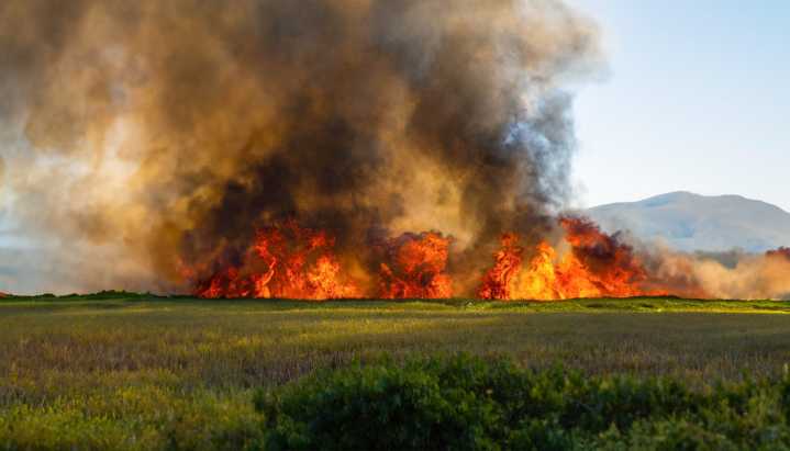 Crews Successfully Extinguish Vegetation Fire in Jurupa Valley