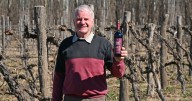 Campo Grande: una bodega con más de 60 años de historia en 20 hectáreas de viñedos