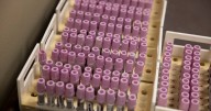 West Texas measles outbreak declared over