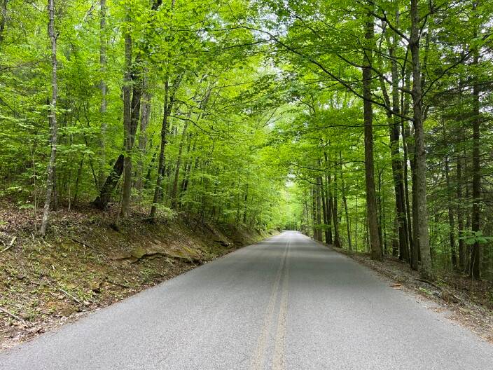 Report: Kentucky has awarded $150M of single-bid asphalt contracts this year