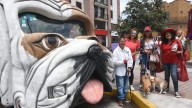 Adoptan a diez perros en Croquetón Estatal y recolectan 10 kgs de croquetas