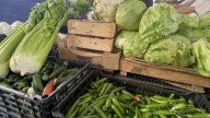 Precios de la canasta básica se mantienen estables en Cuautla