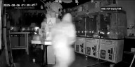 TOP 5 | Roban miles de dólares en muñecos Lububu de una tienda