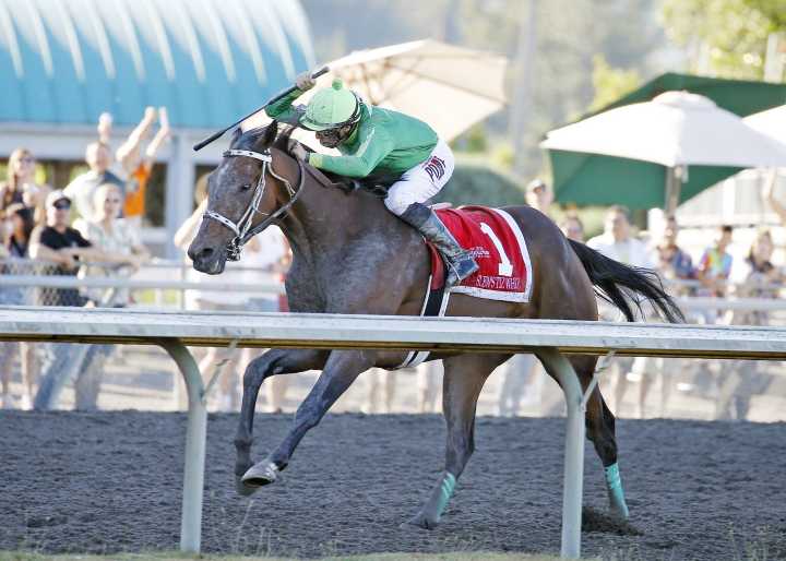 Slew’s Tiz Whiz to attempt rare feat at Longacres Mile