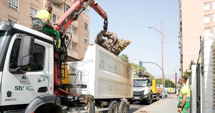Completan la tala de palmeras de la avenida Cabo de Gata