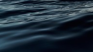 25-year-old man drowns at Lake Chatuge in Towns County